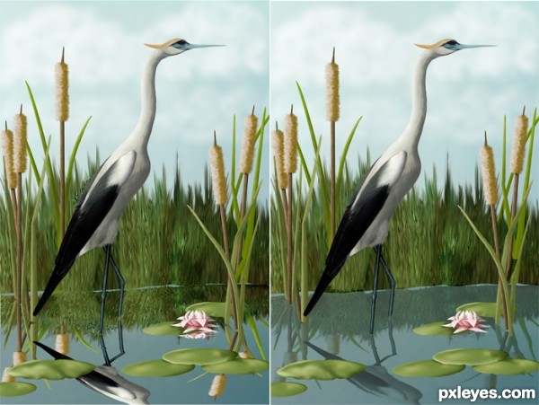 Creation of Crane in Cattails: Step 11